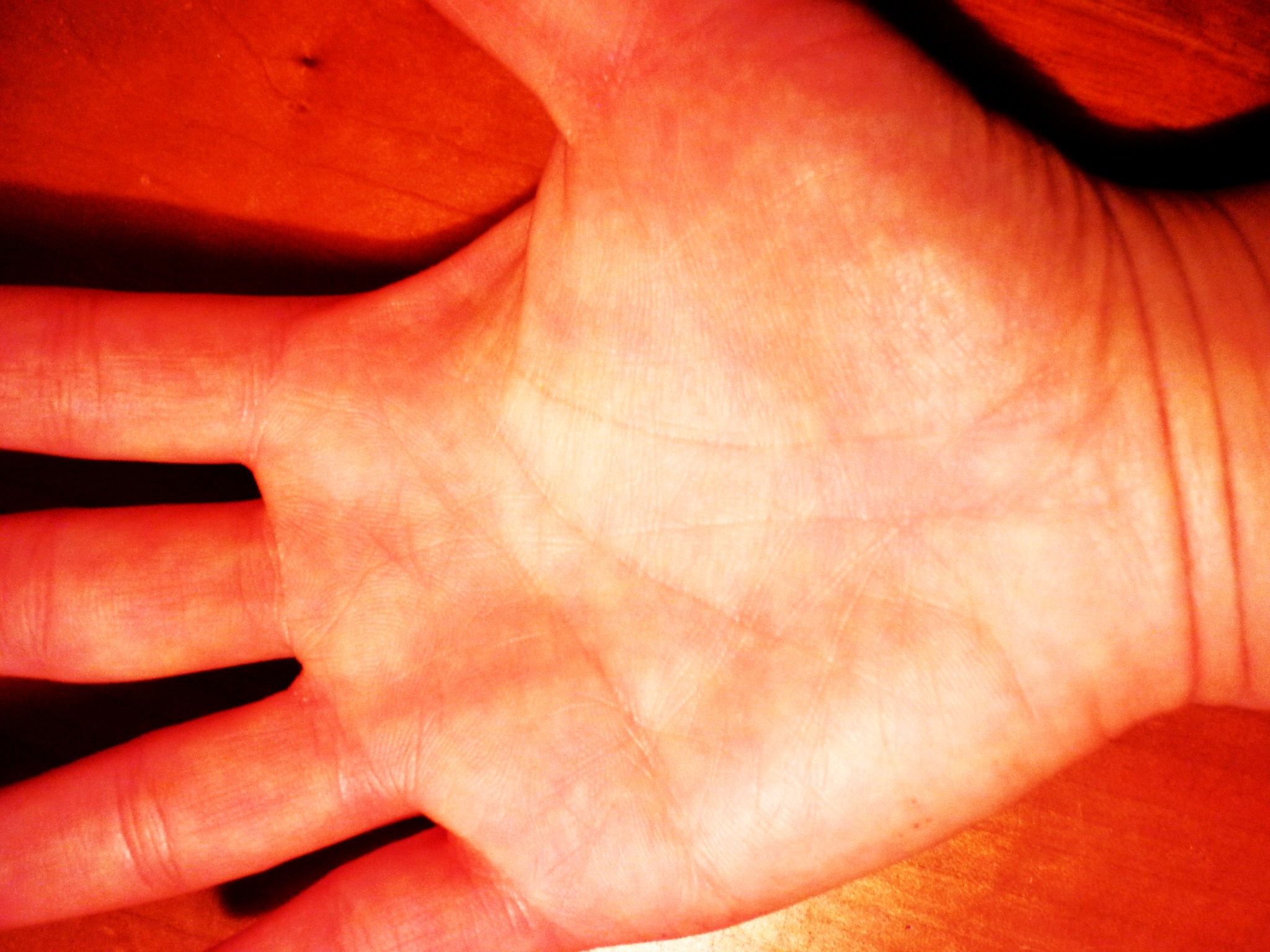 P1010211.JPG