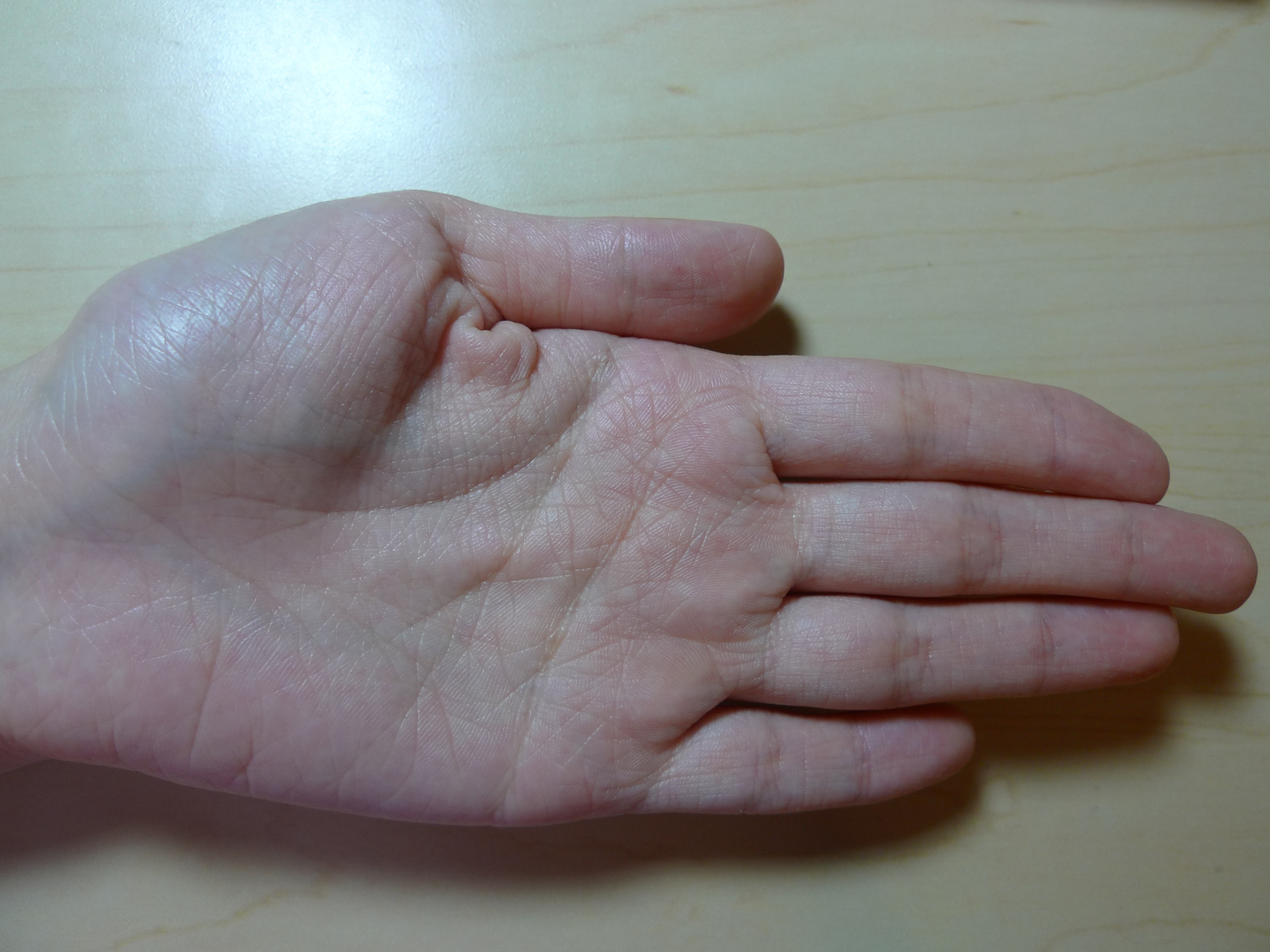 P10104771.jpg