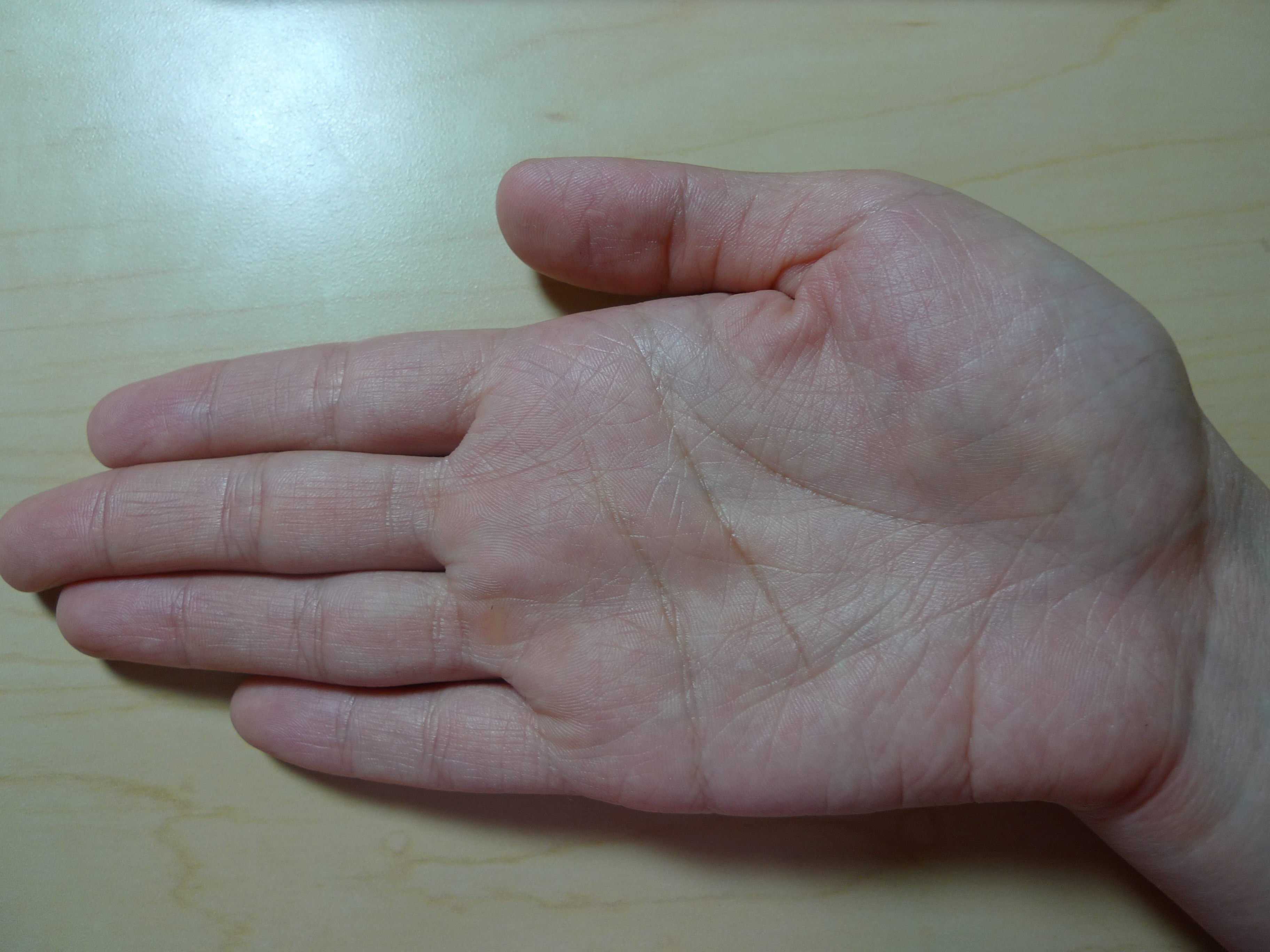 P10104791.jpg