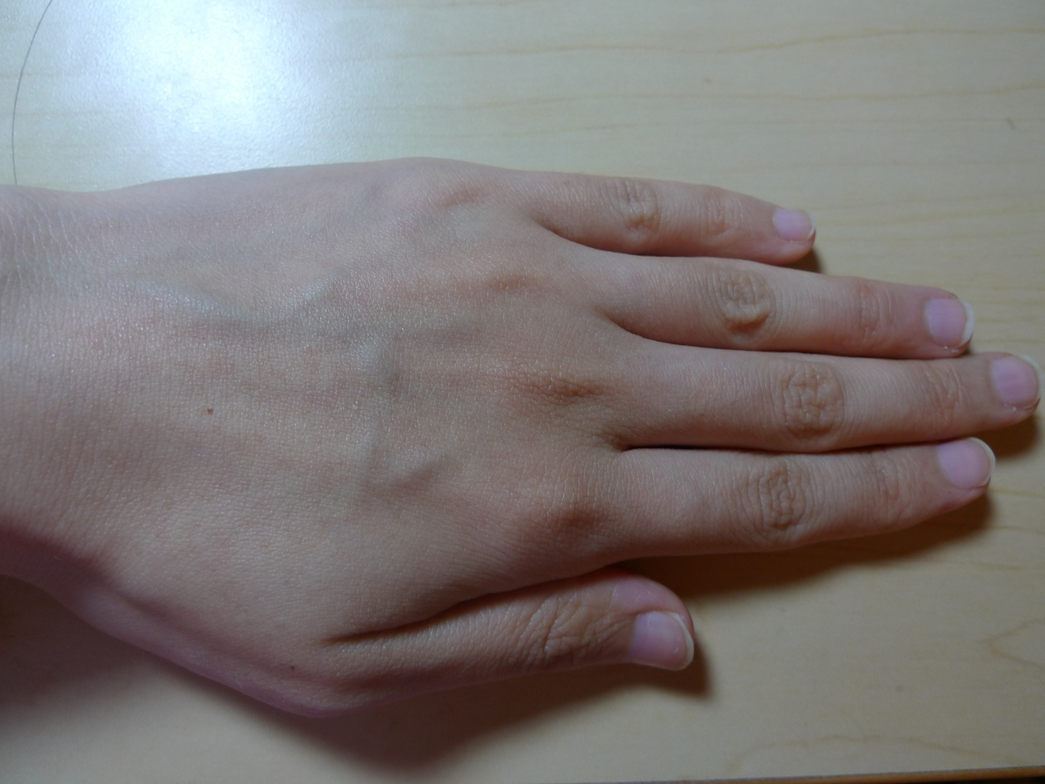 P10104821.jpg