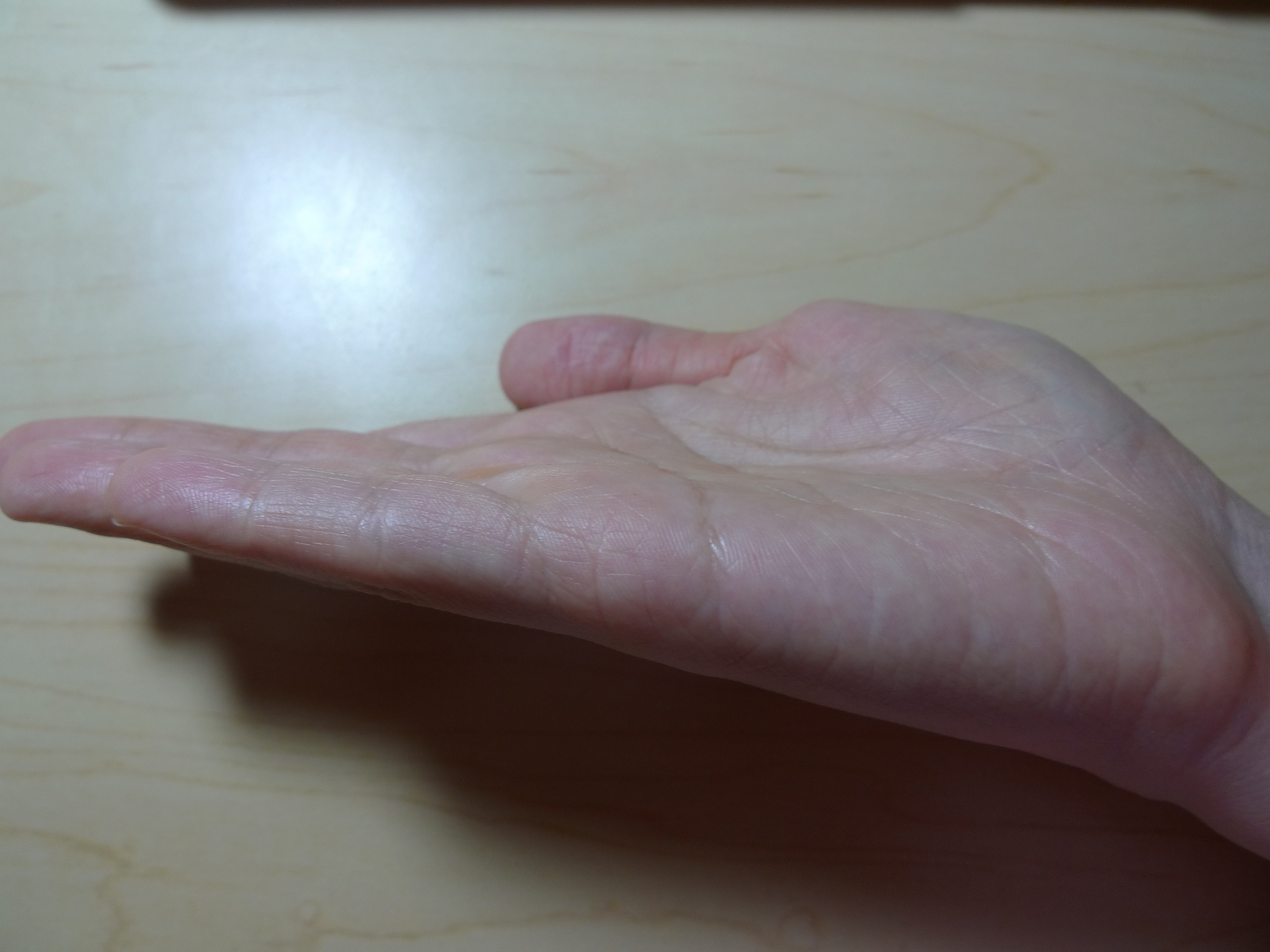 P10104871.jpg