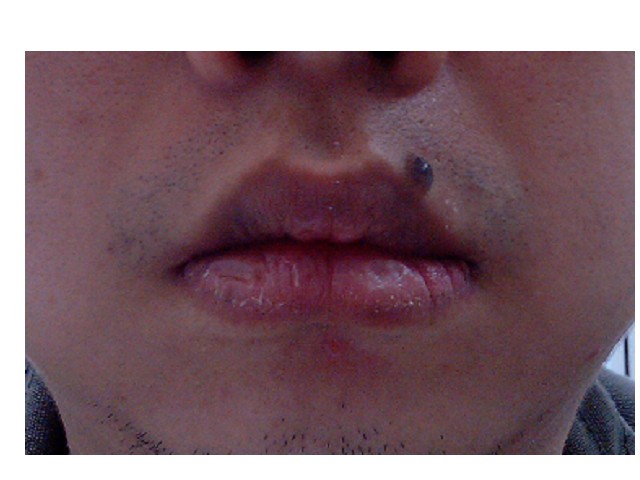 Picture.jpg