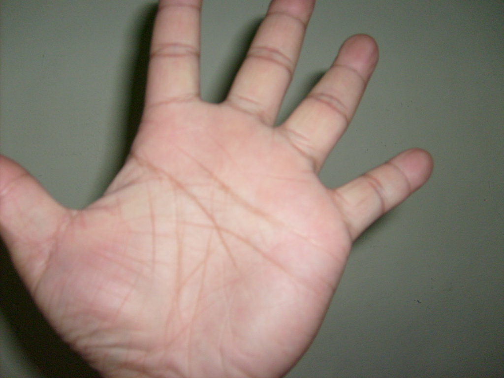 S6300128.JPG