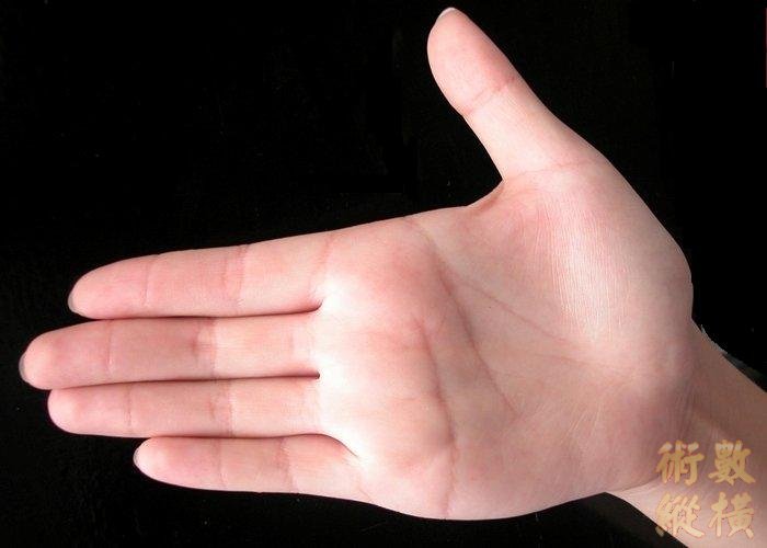 手相照片