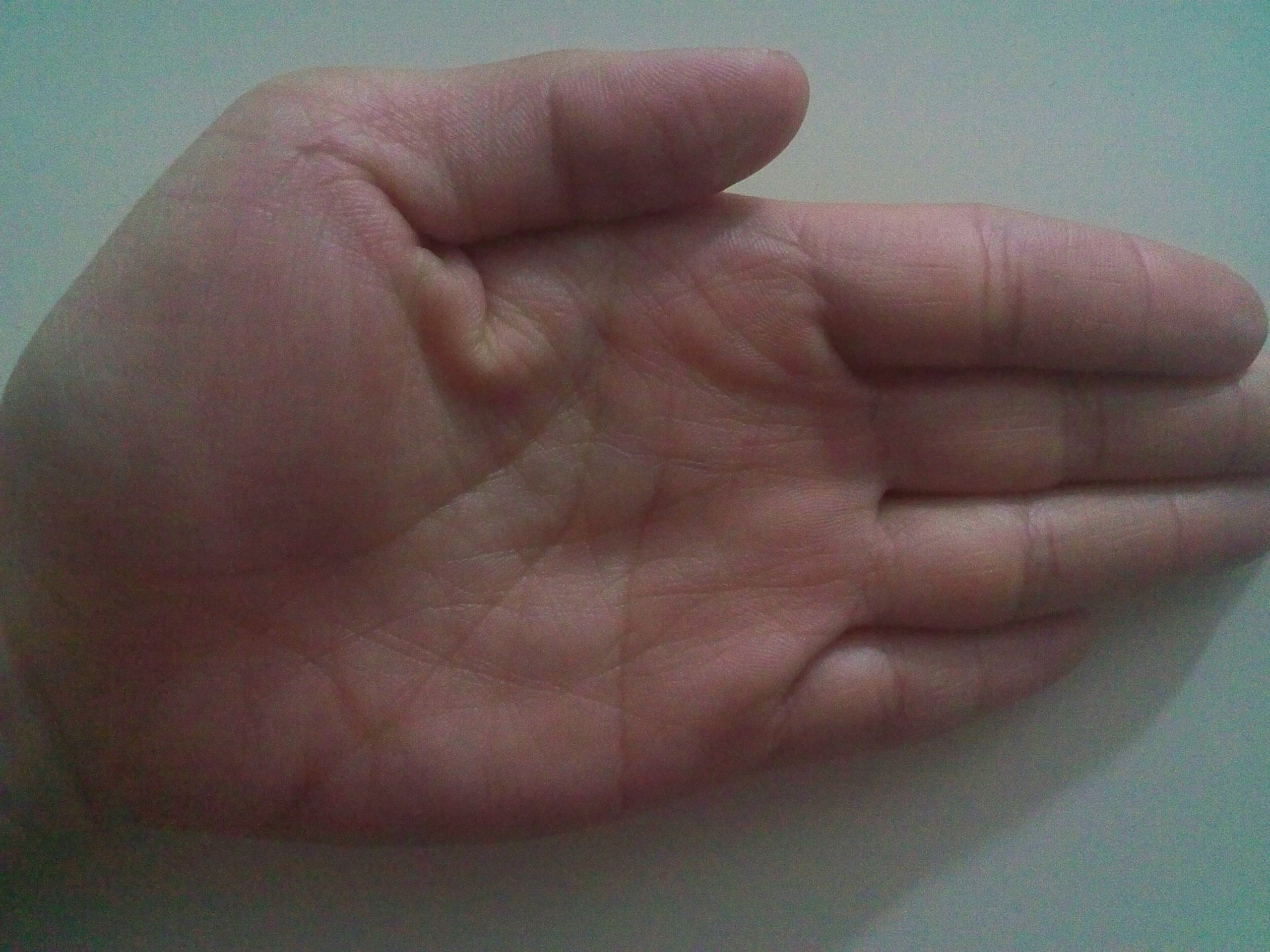 kdk_0387.jpg