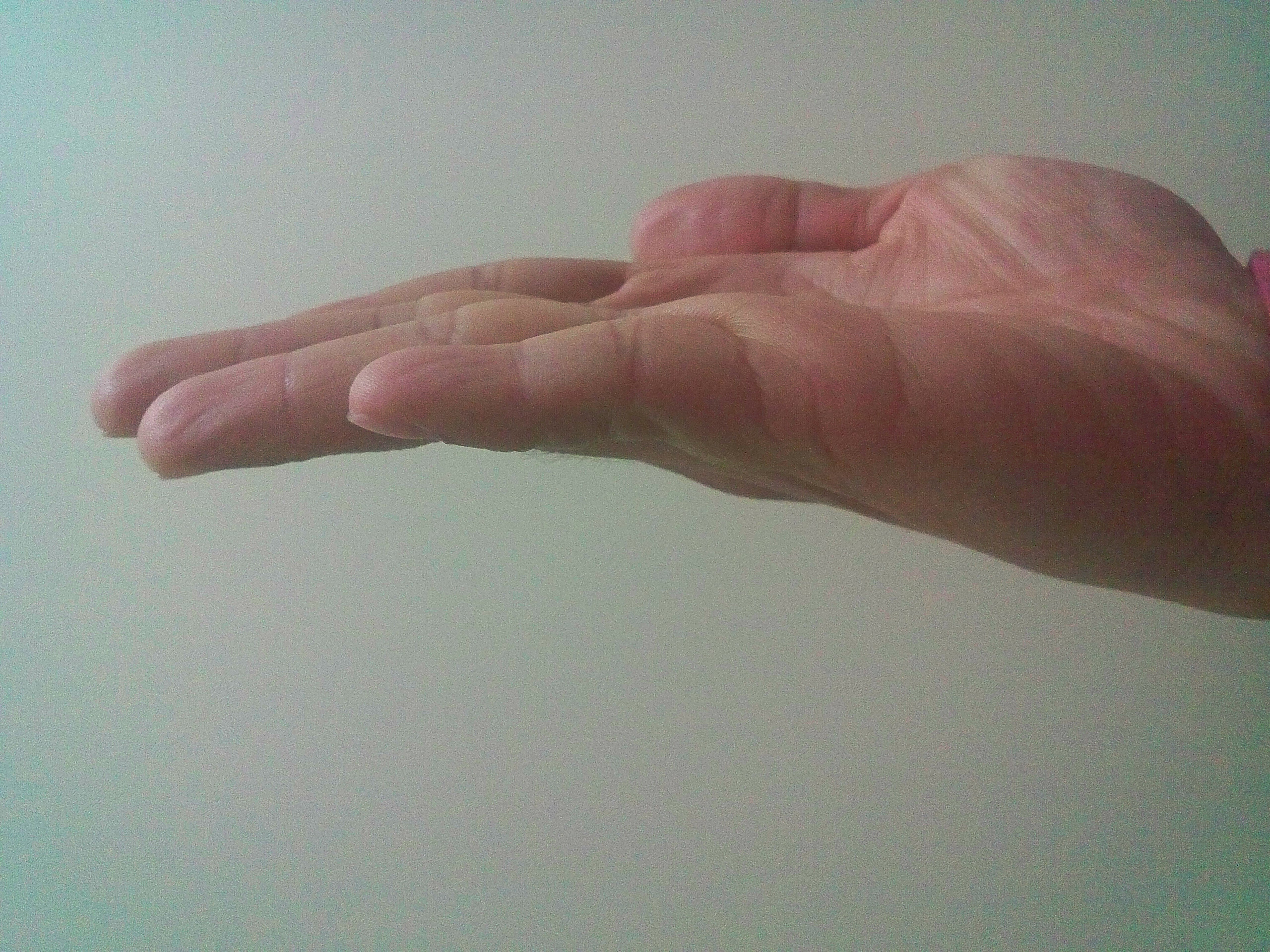 kdk_0390.jpg