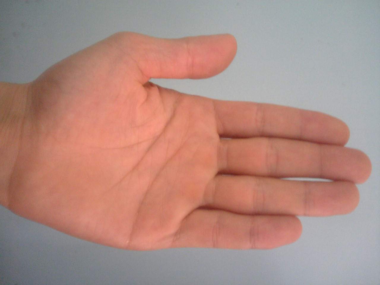 手1