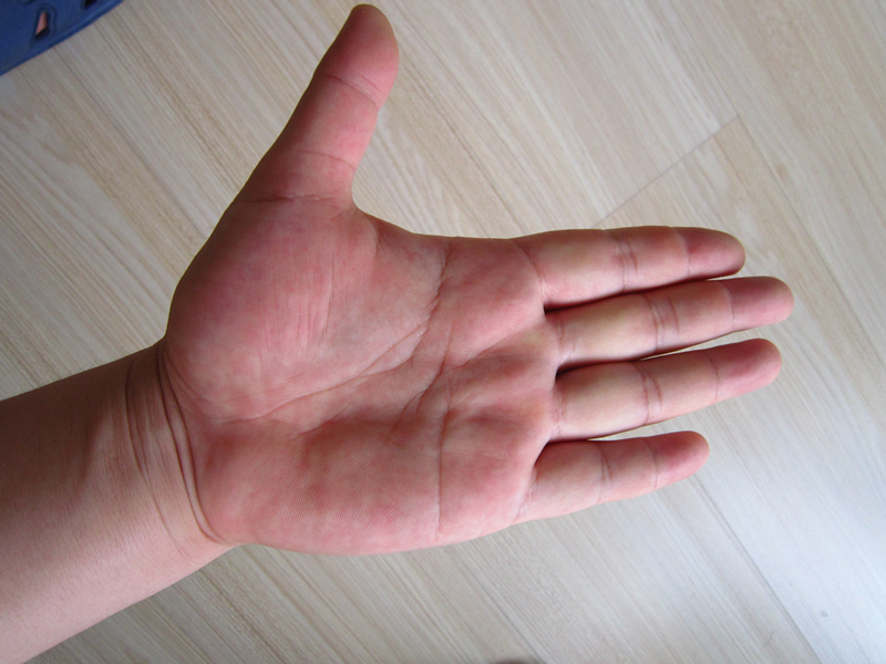 palm-left.jpg