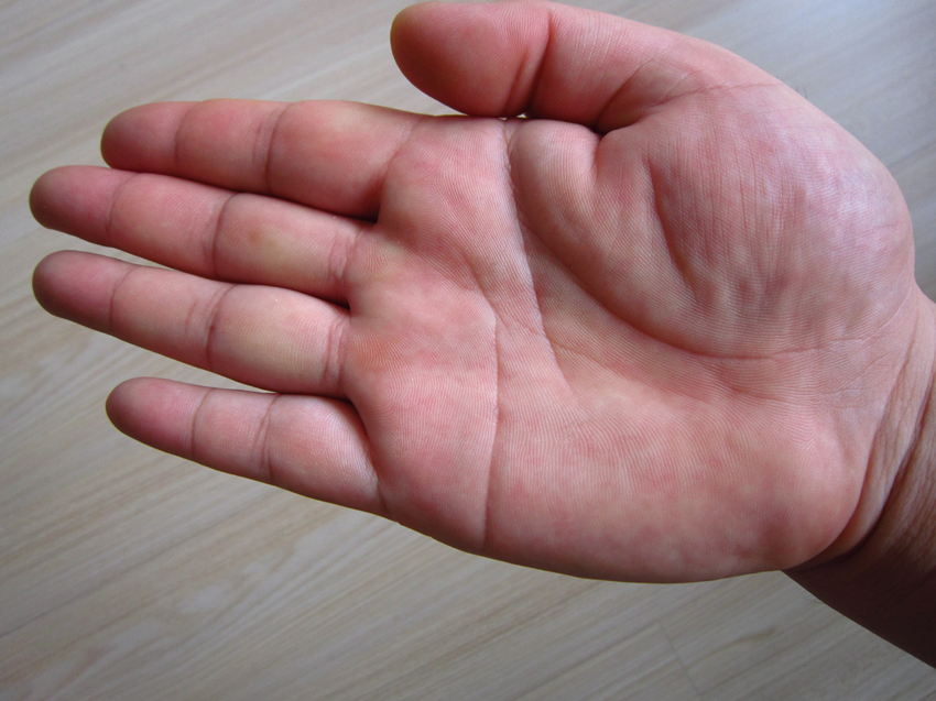 palm-right.jpg