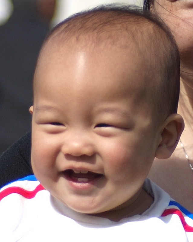 伏犀01.JPG