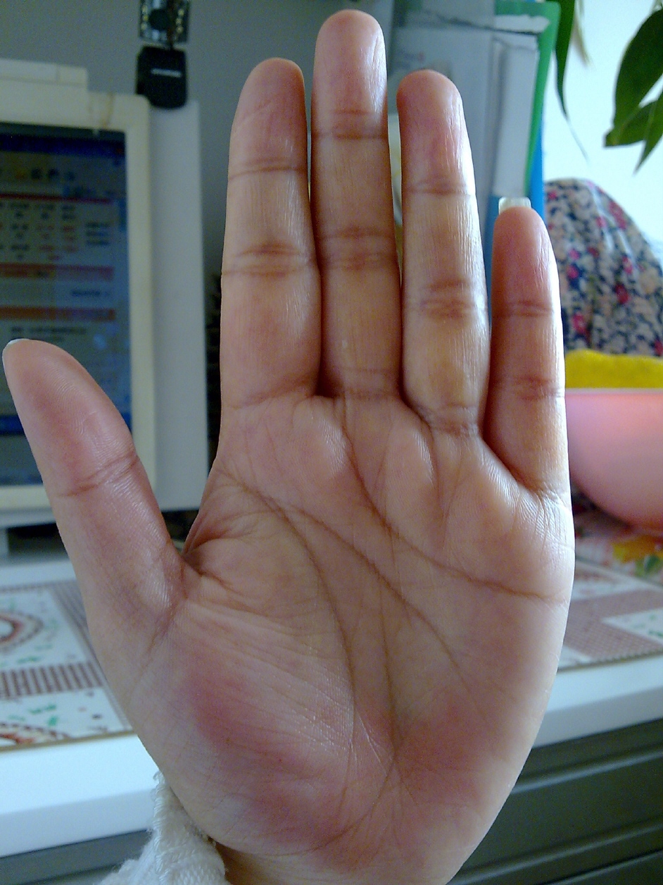 pic11.jpg