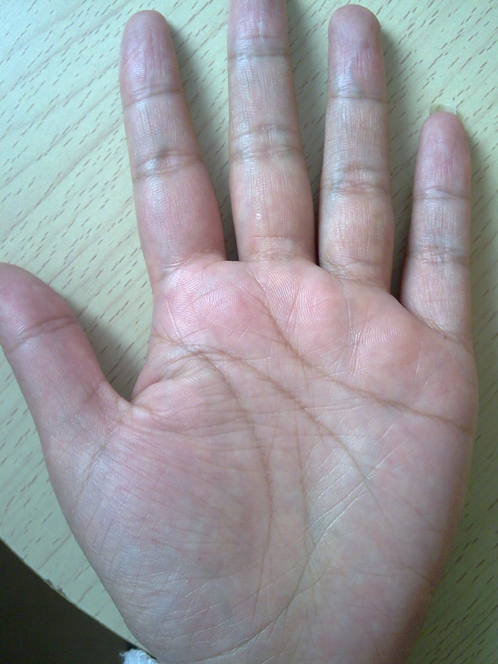 pic16.jpg