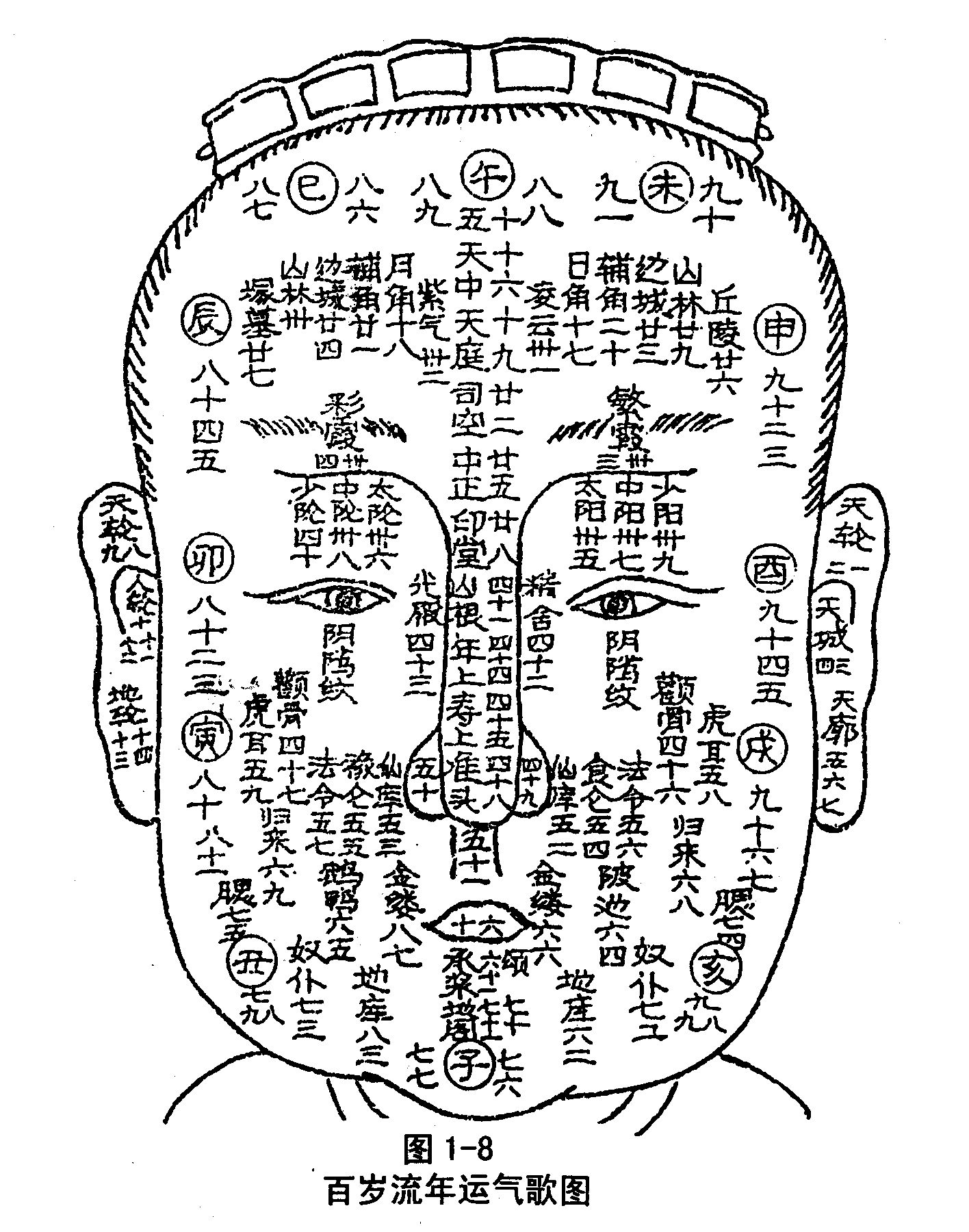 百歲流年1.jpg