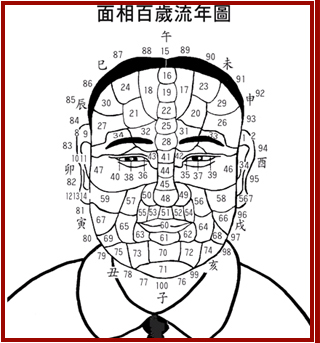 百歲流年3.jpg