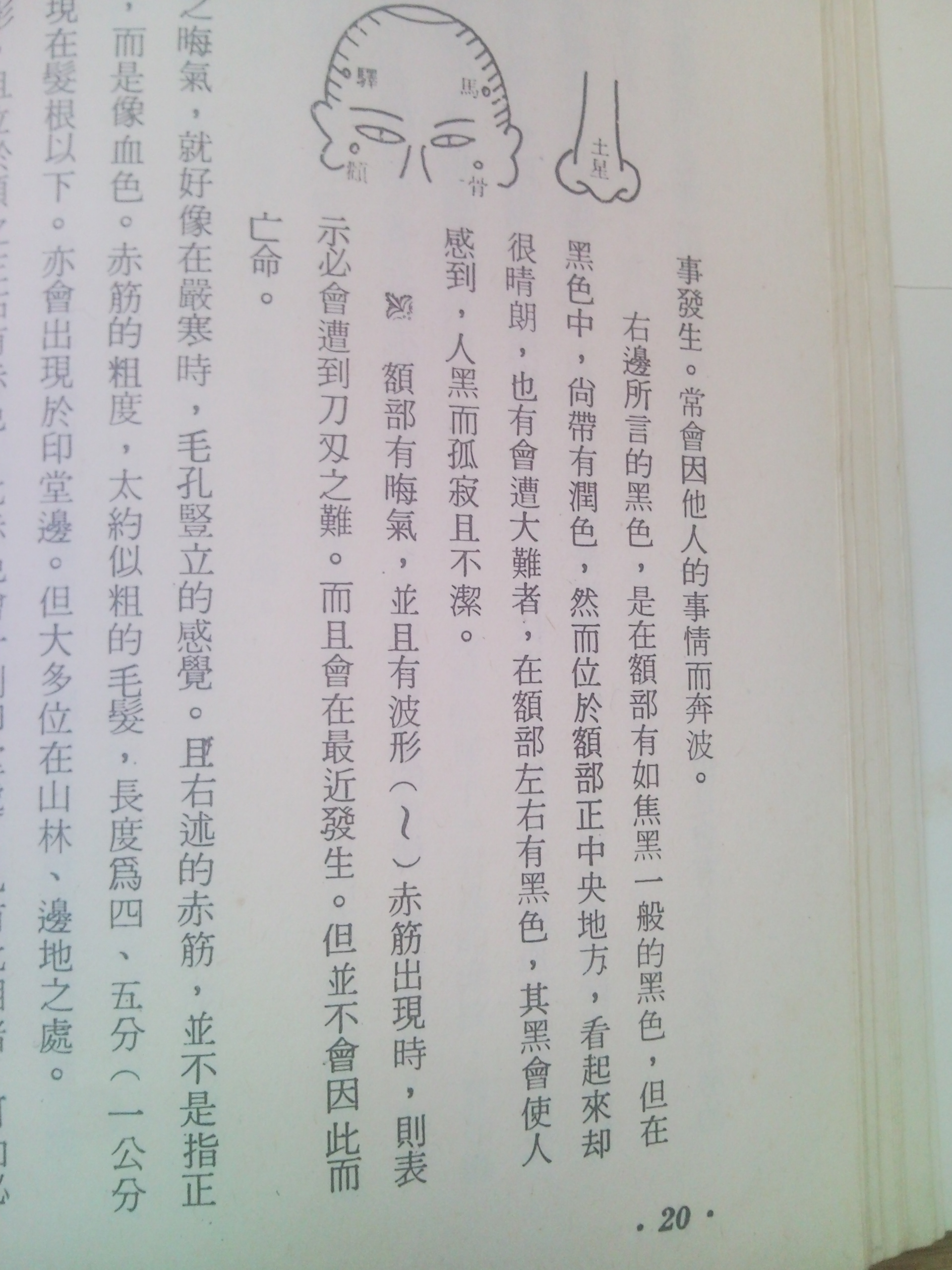 赤筋.jpg