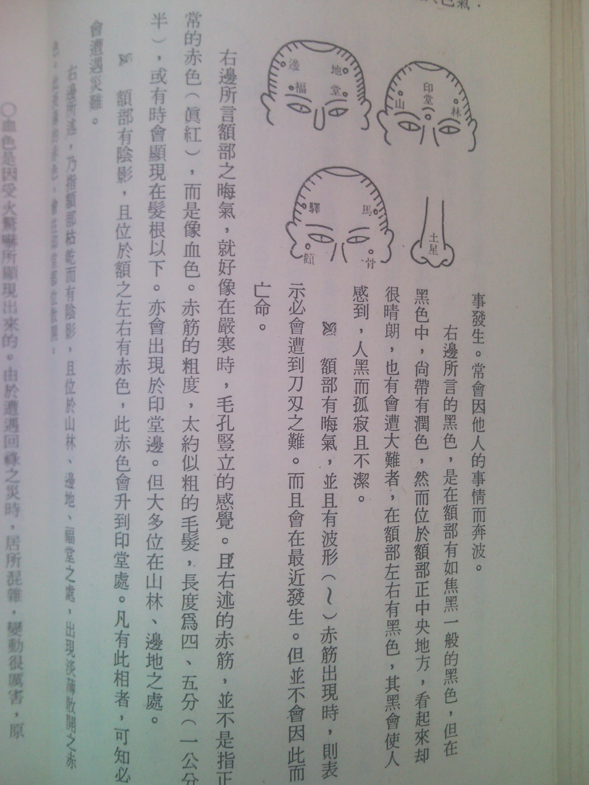赤筋01.jpg