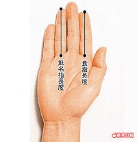 食指.jpg