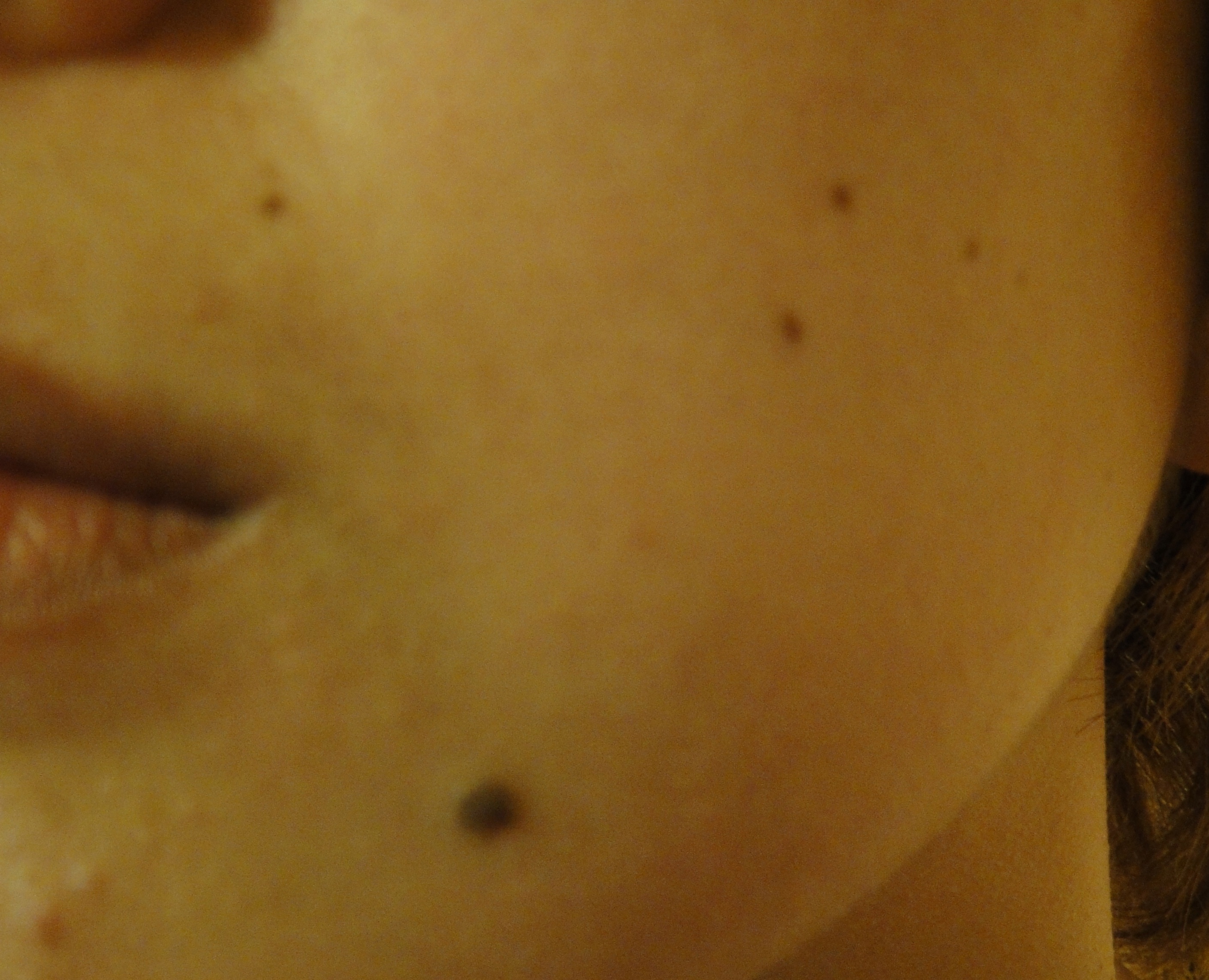 新照-crop.JPG