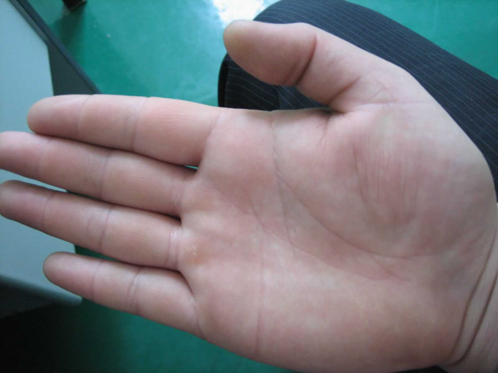 照片 024-1.jpg