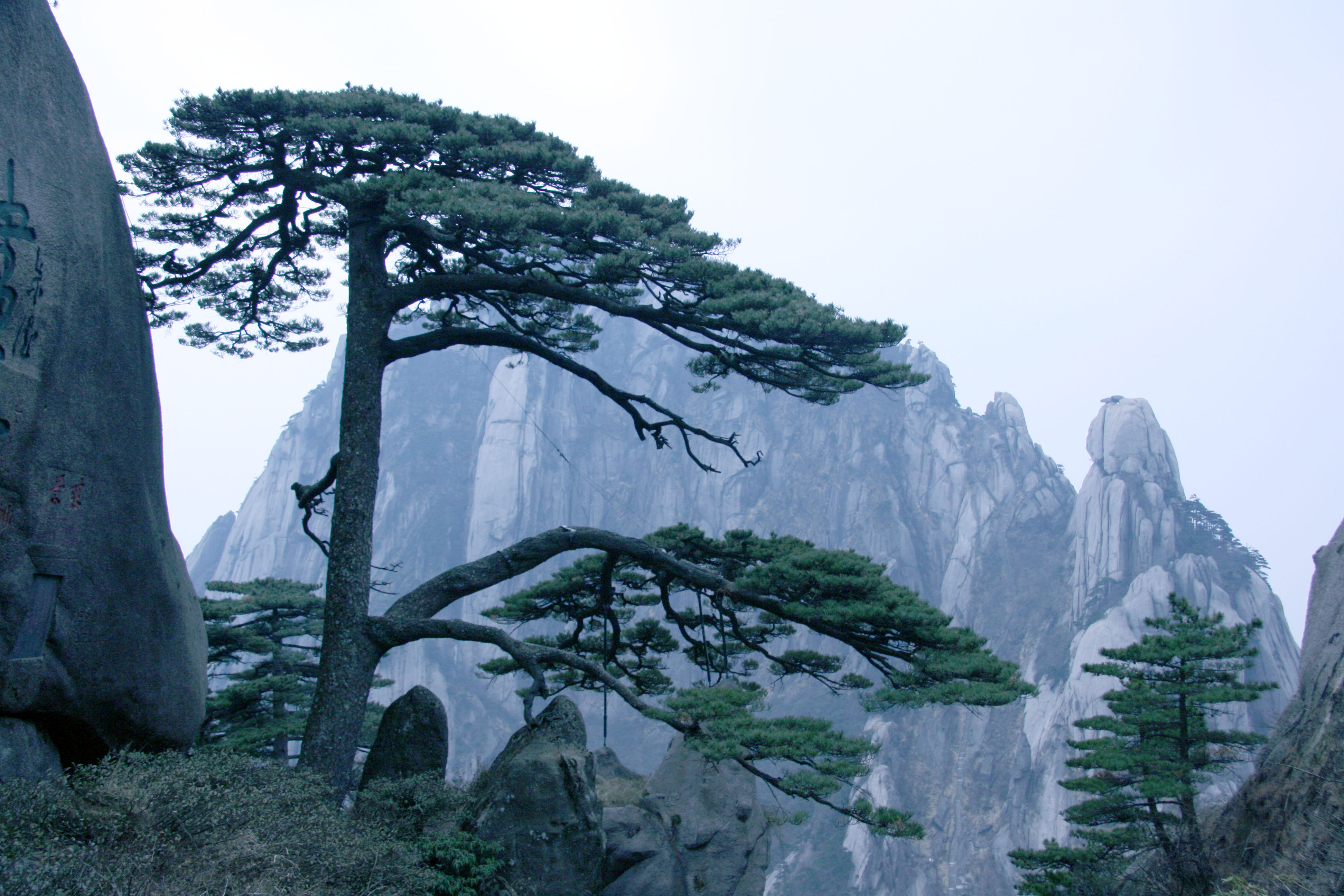 照片 151.jpg