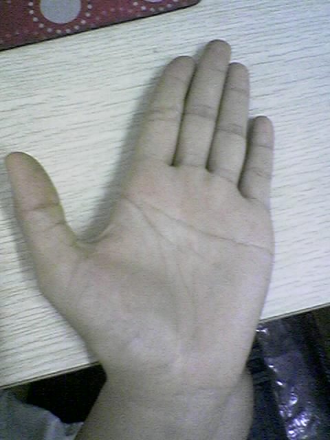 照片0387.jpg