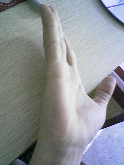 照片0390.jpg