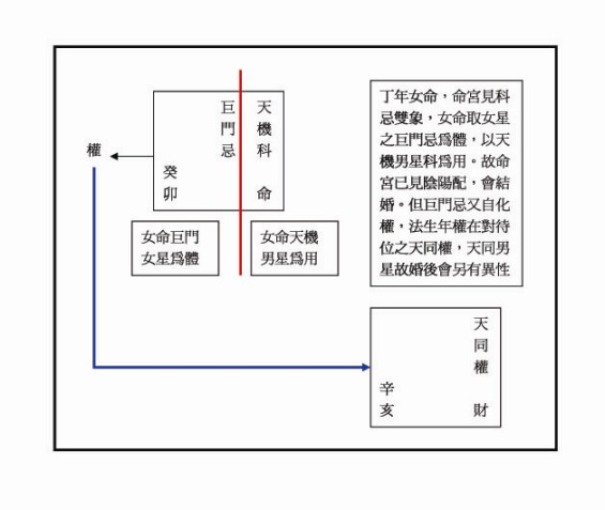 丁女機巨雙象