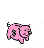 0016.gif