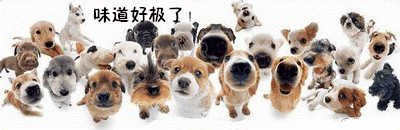 03DE9582.gif