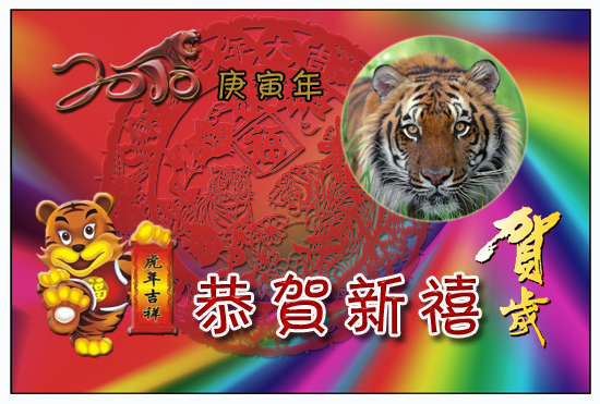 OLD~TIGER.jpg