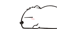 QIkRTvZY.gif