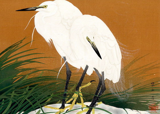 Rakuzan1930.jpg