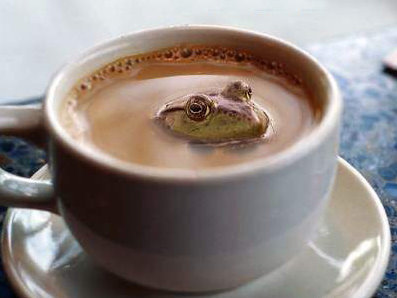 frogcofe.jpg