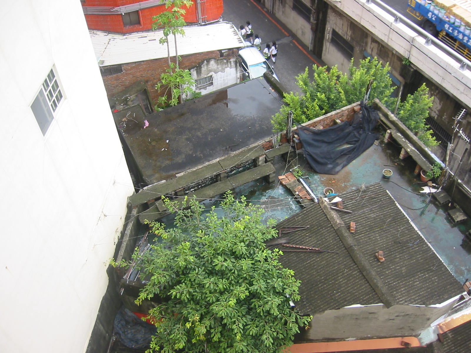 20080729_309440a978c5eef19561Wmmma49SbZRT.jpg