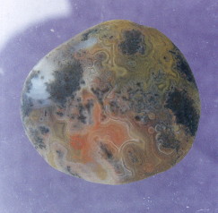 01-2.jpg