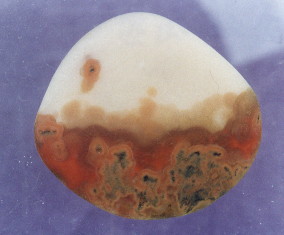 01-2.jpg