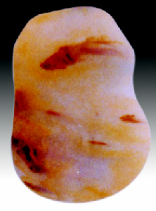 01-2.jpg