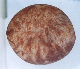 01-2.jpg
