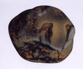 01-3.jpg