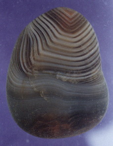 01-3.jpg