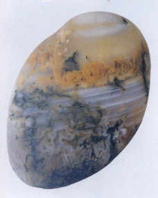 01-4.jpg