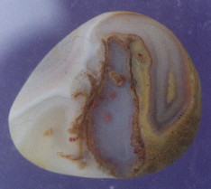01-5.jpg