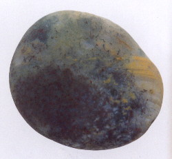 01-7.jpg