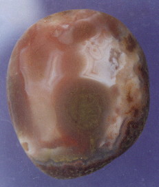 01-7.jpg