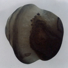 01-7.jpg