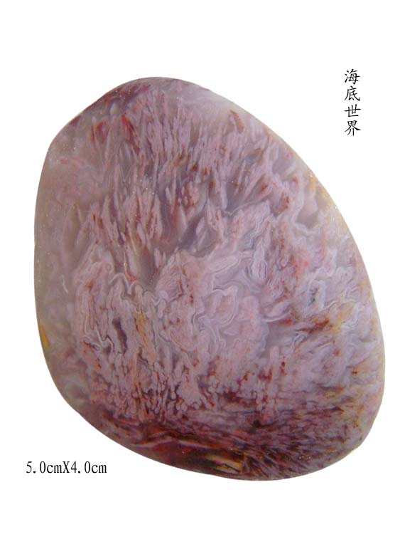 01-81.jpg