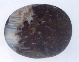 01-8.jpg