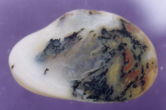 01-8.jpg
