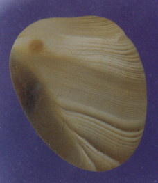 01-8.jpg