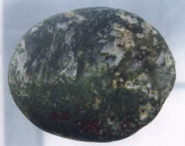 01-8.jpg